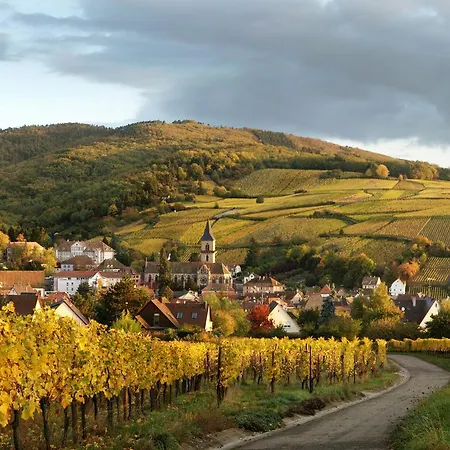 Au Coeur De Ribeauville (Haut-Rhin)