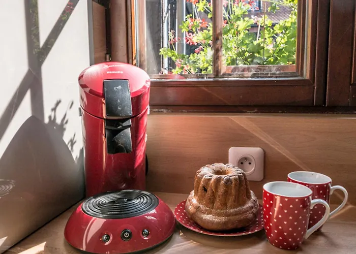 Au Coeur De Semesterbostad