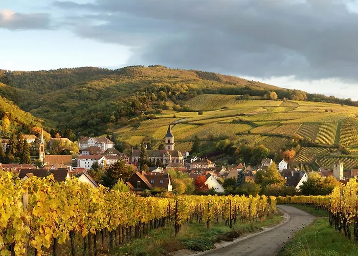 Au Coeur De Ribeauvillé